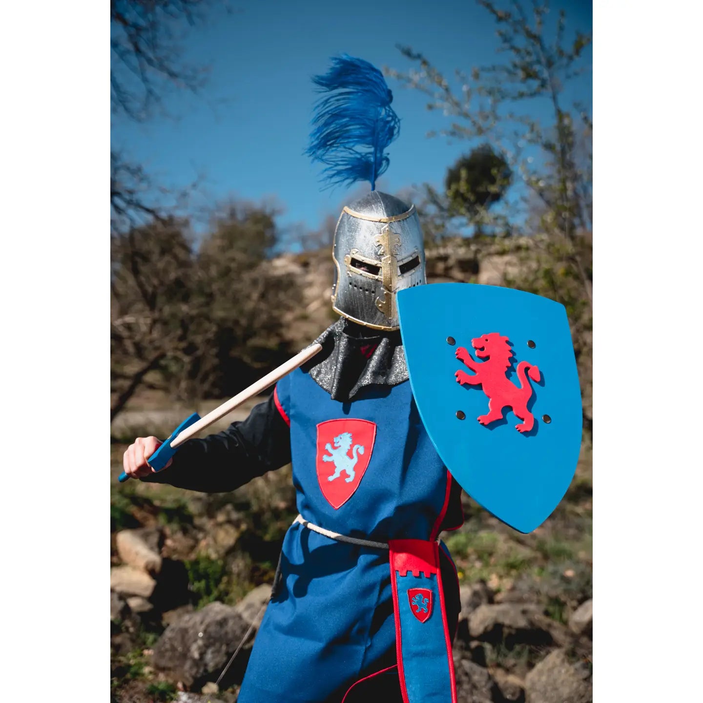 Medieval Shield