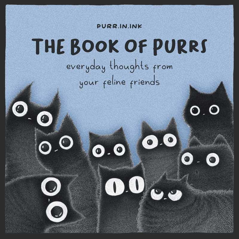 Book of Purrs by Luis Coelho