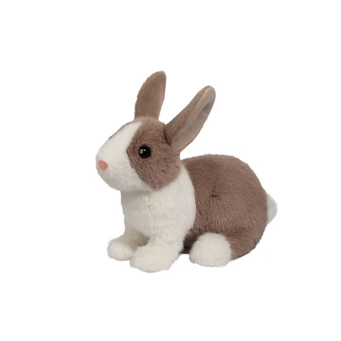 Daffodil Dutch Bunny