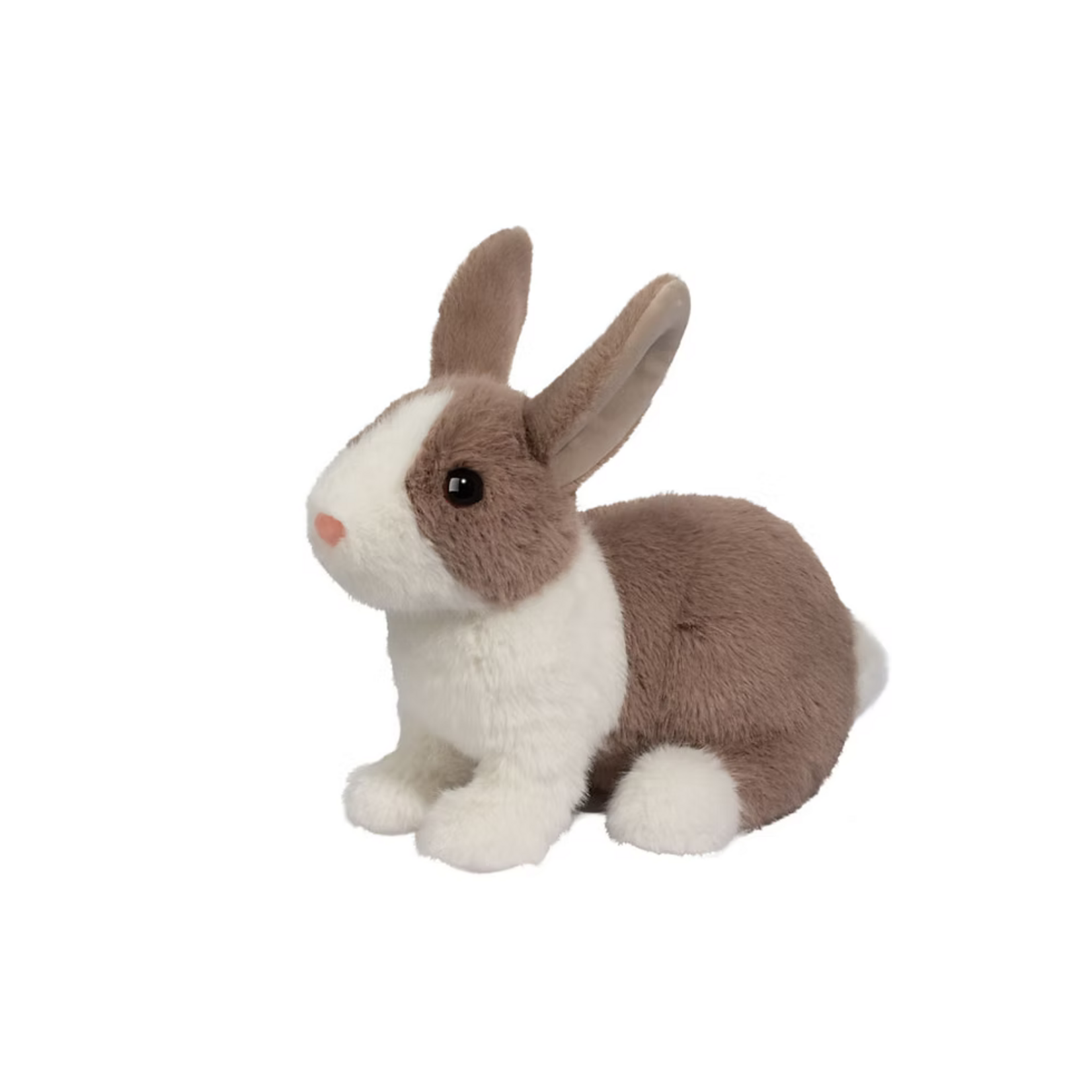 Daffodil Dutch Bunny