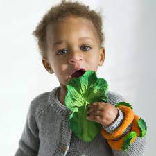 Natural Teether