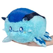 Blue Dragon Sea Slug