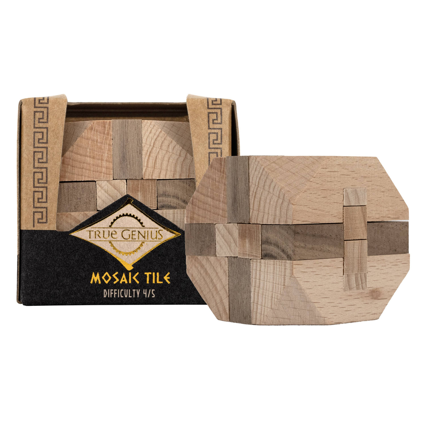 Brainteaser Mini Puzzle
