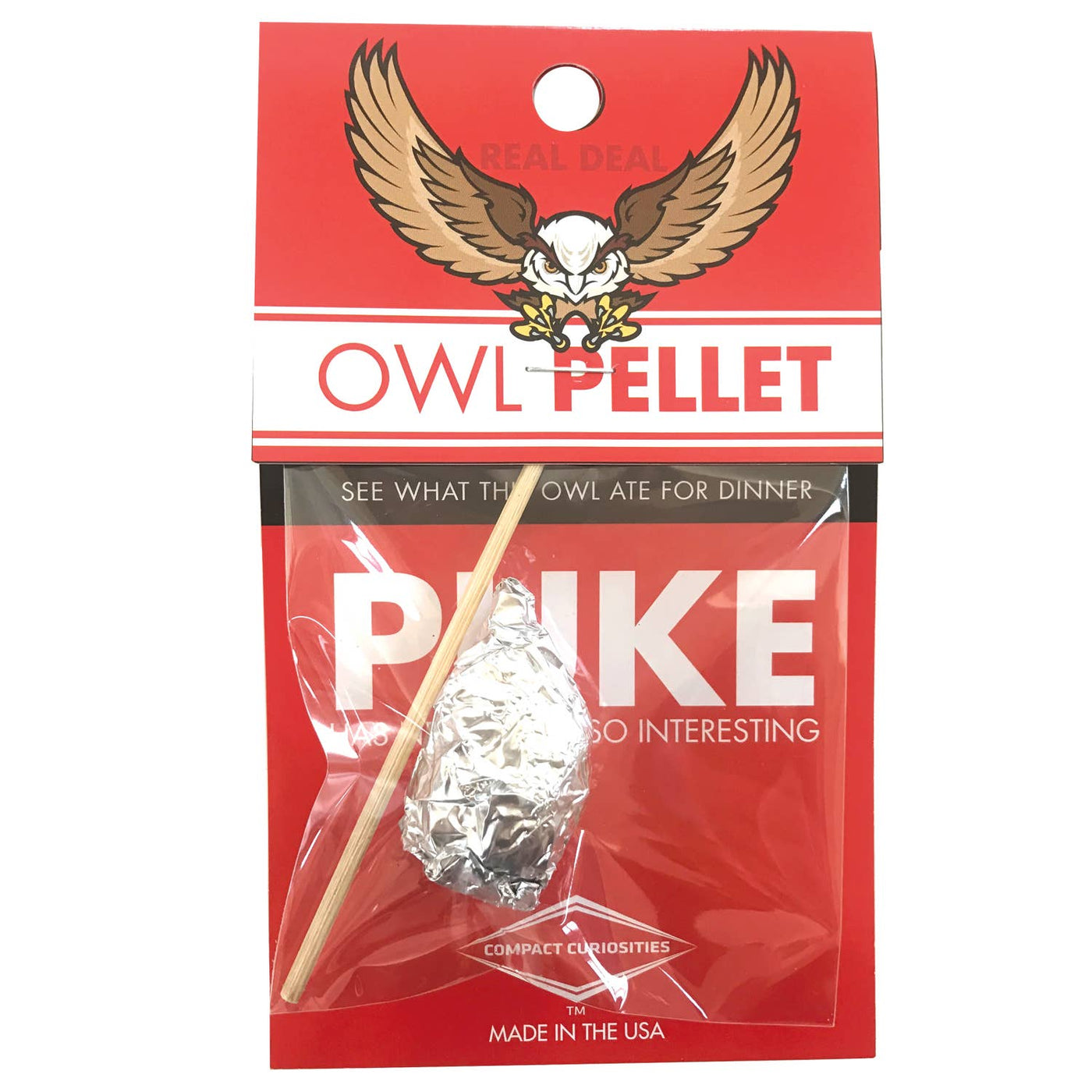 Owl Pellet Curiosities