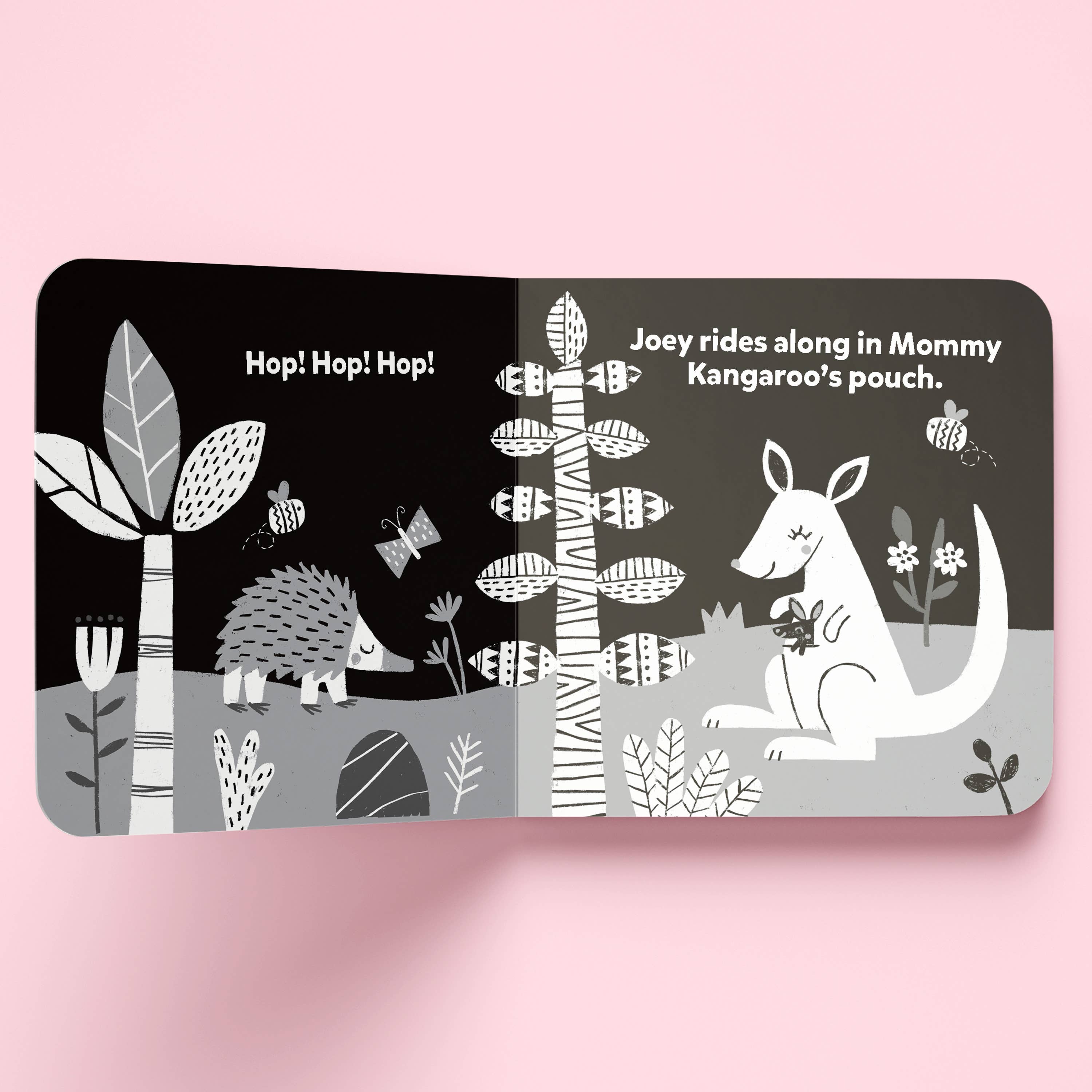 High Contrast Baby's First Learning Library